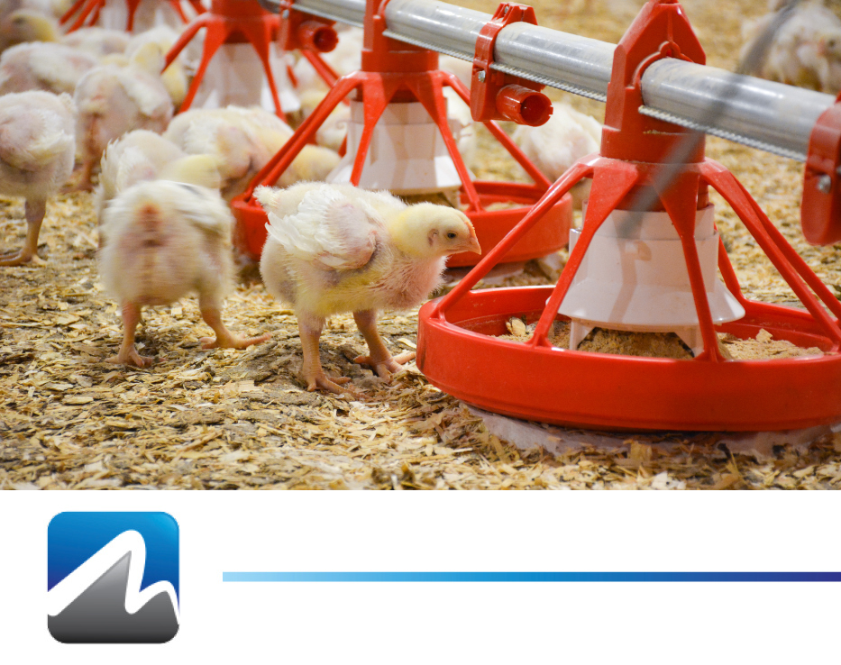 Sistema de gestión de granjas - Productos MAXIMUS para la gestión de la alimentación de las aves de corral