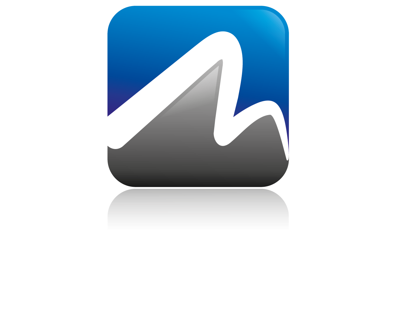 MAXIMUS An Ingersoll Rand Business
