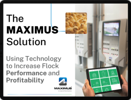 Poultry Management System - MAXIMUS Webinair - Valuable insights on MAXIMUS controller and MAXIMUS Software