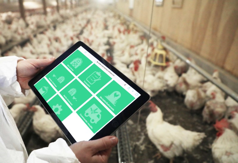 poultry-management_maximus-software