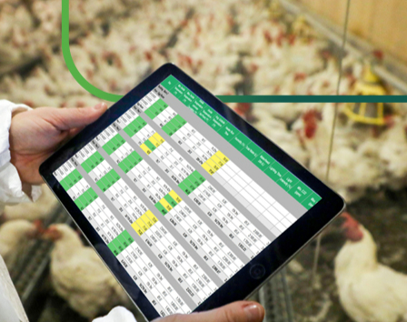 Informe avícola en el dispositivo móvil MAXIMUS Software
