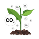 MAXIMUS温室 - 二氧化碳水平